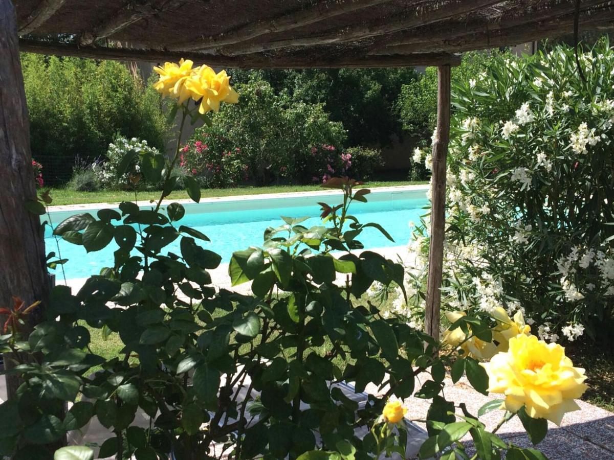 Agriturismo Lupo Vecchio Grosseto Exterior photo