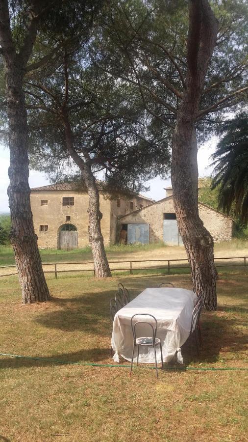 Agriturismo Lupo Vecchio Grosseto Exterior photo